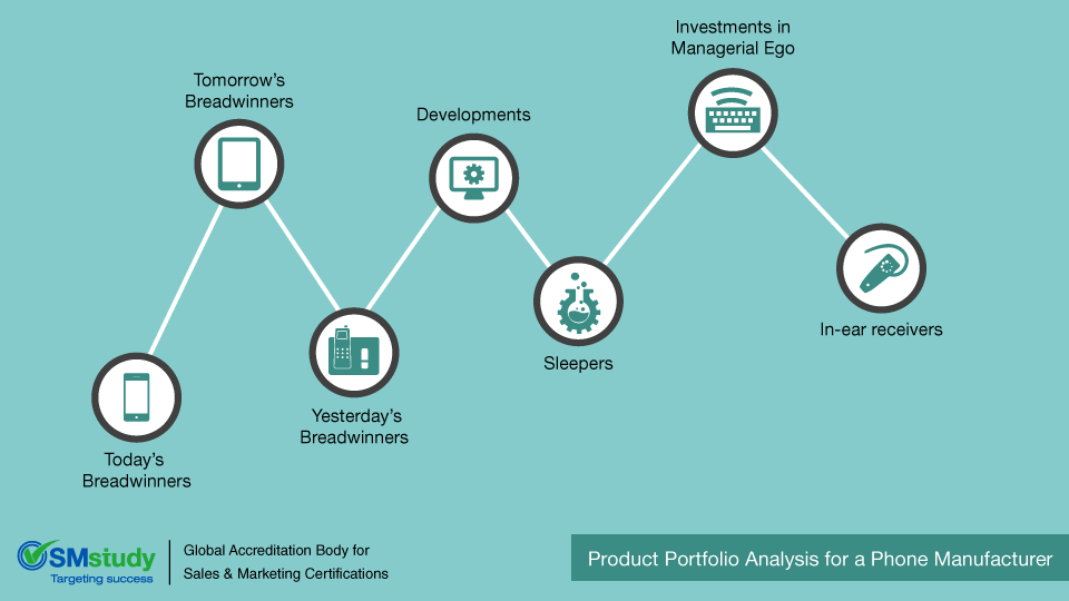 Product Portfolio Analysis