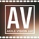 Agile Vision LLC